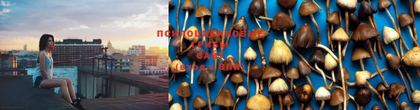 синтетический гашиш Киреевск