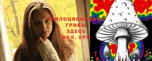 синтетический гашиш Киреевск